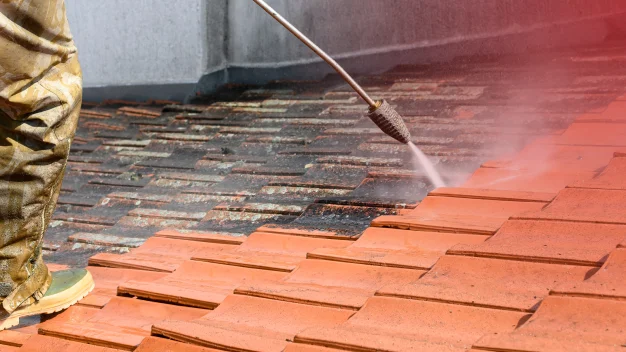 Roof Washing