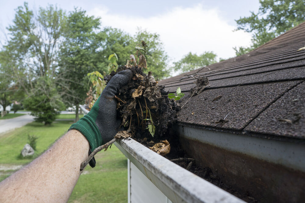 Top 5 Problems Caused by Clogged Gutters