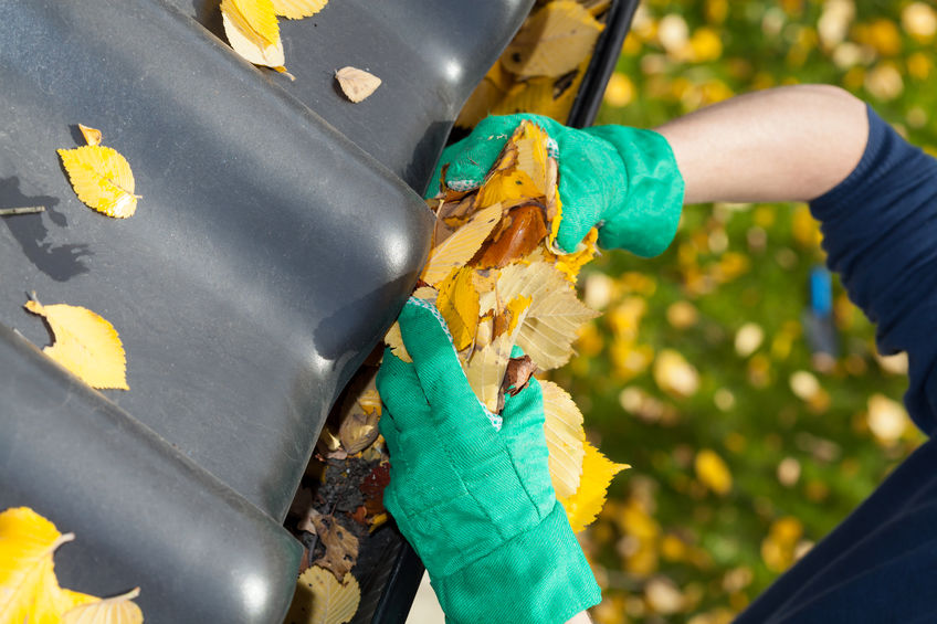 How Often Your Home or Business Should Clean Out Gutters