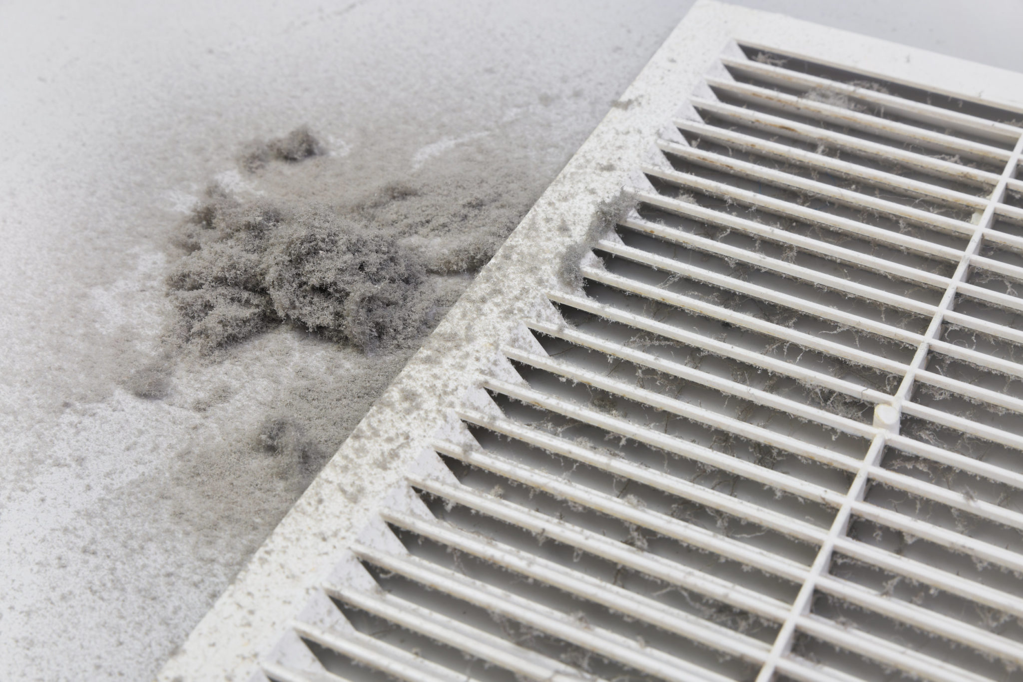 how to reduce dust in house