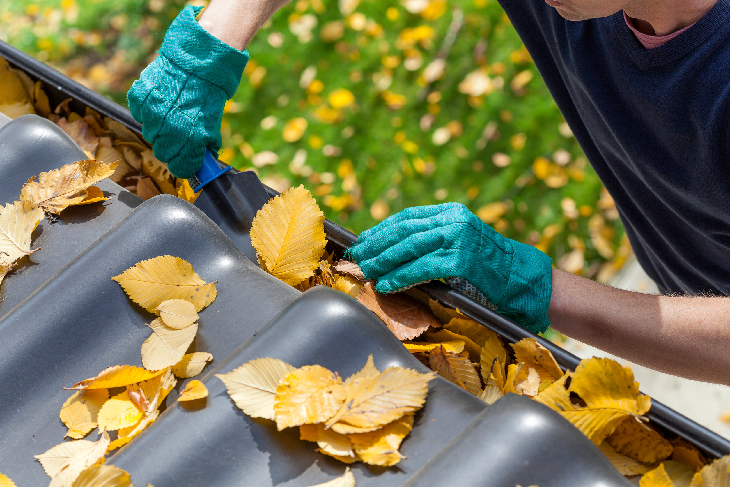 You are currently viewing The Top Five Reasons You Should Clean Your Gutters Every Fall