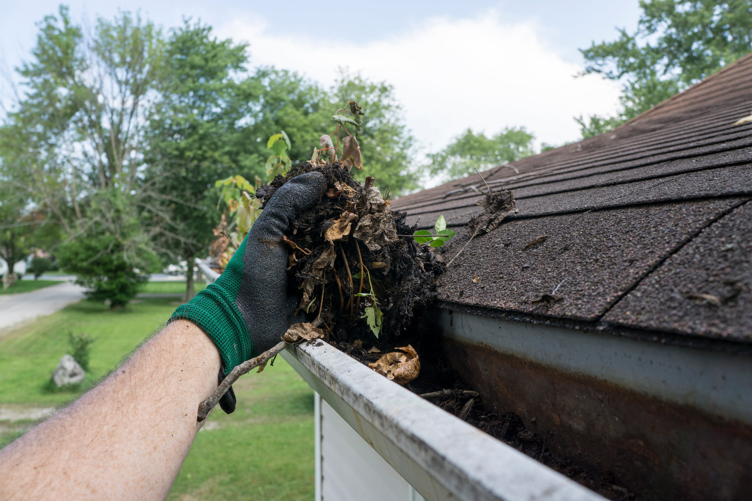 Avoid These Dangers of Clogged Gutters