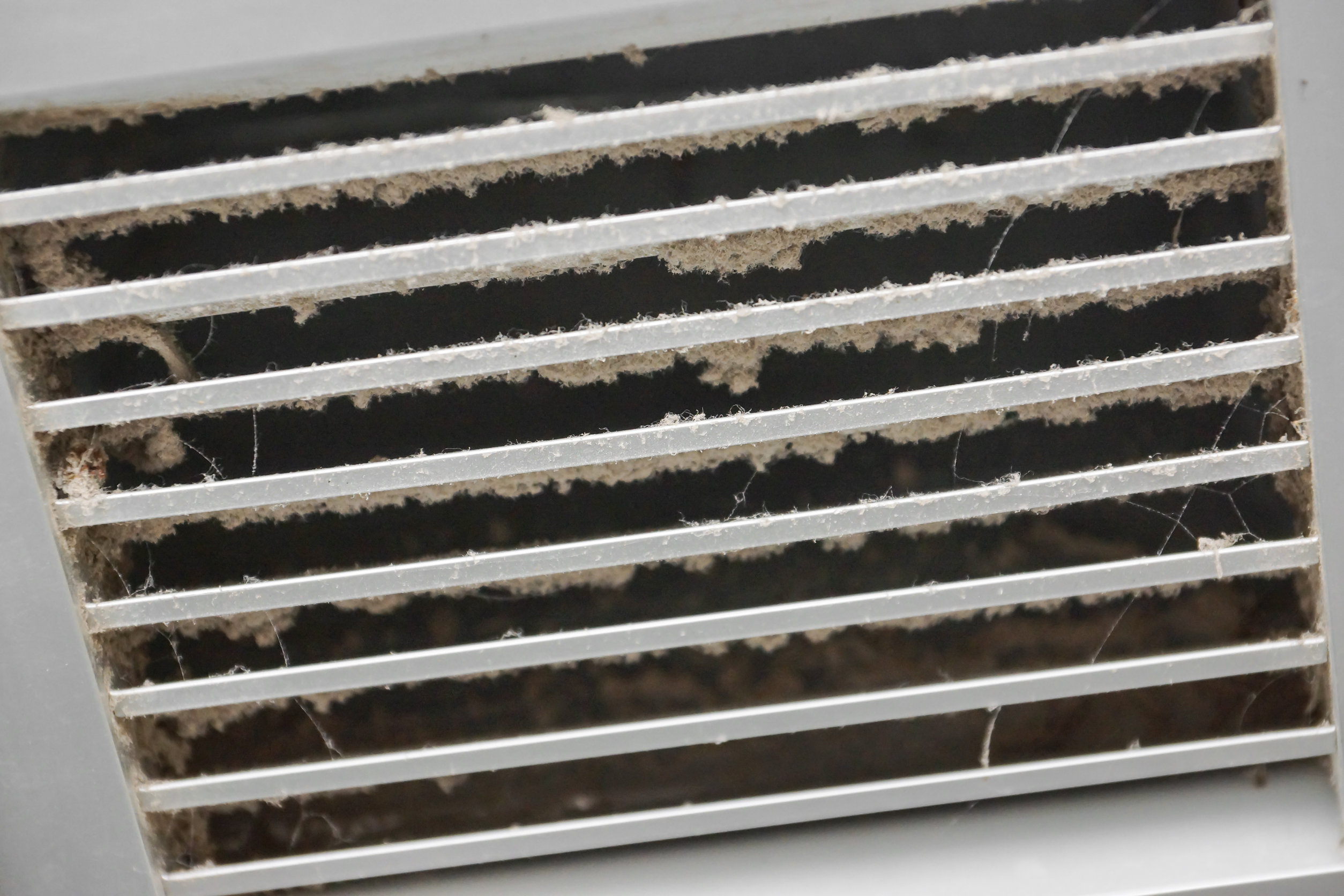 What You Need to Know About Clogged Dryer Vents