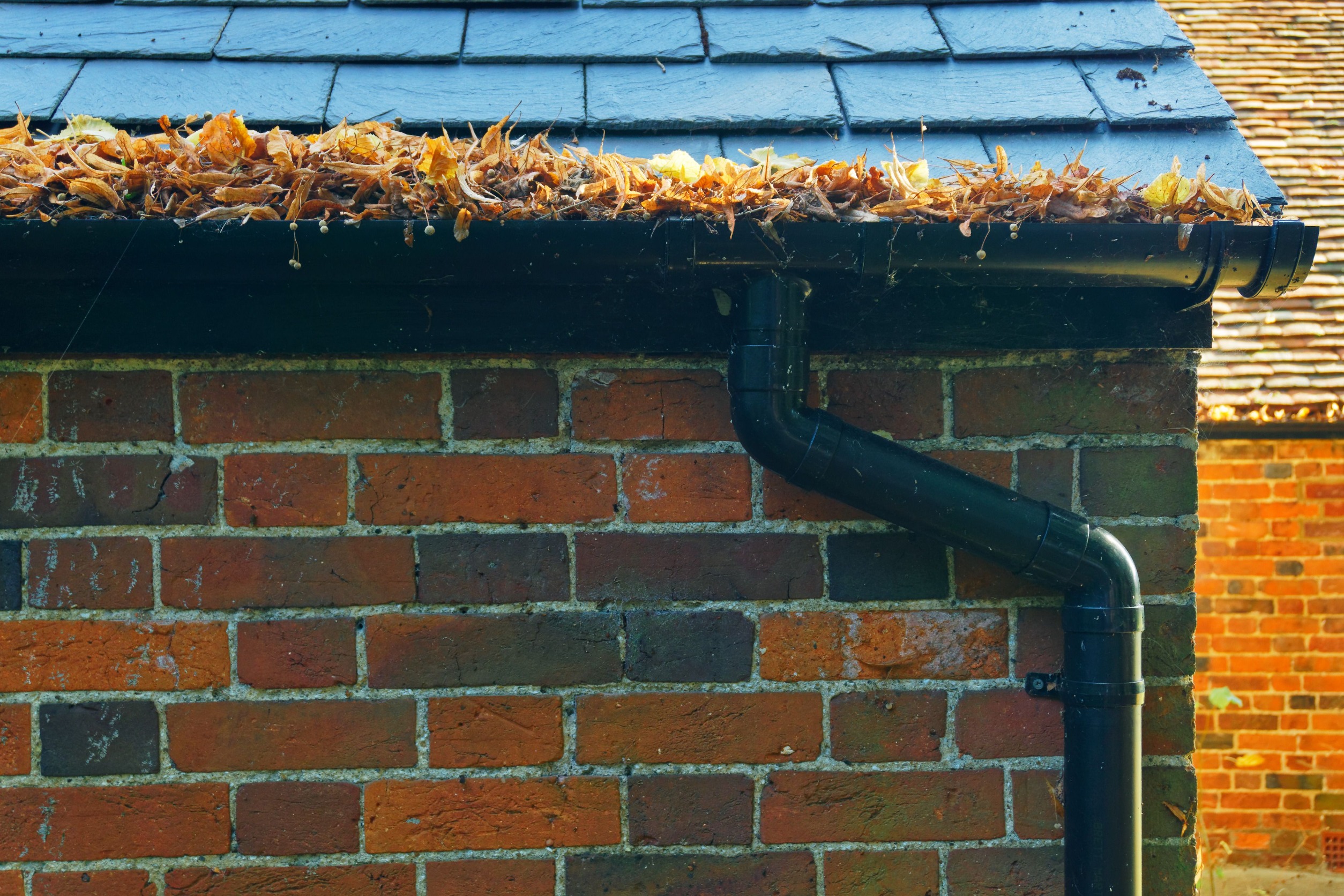 What Makes Gutters Clog?