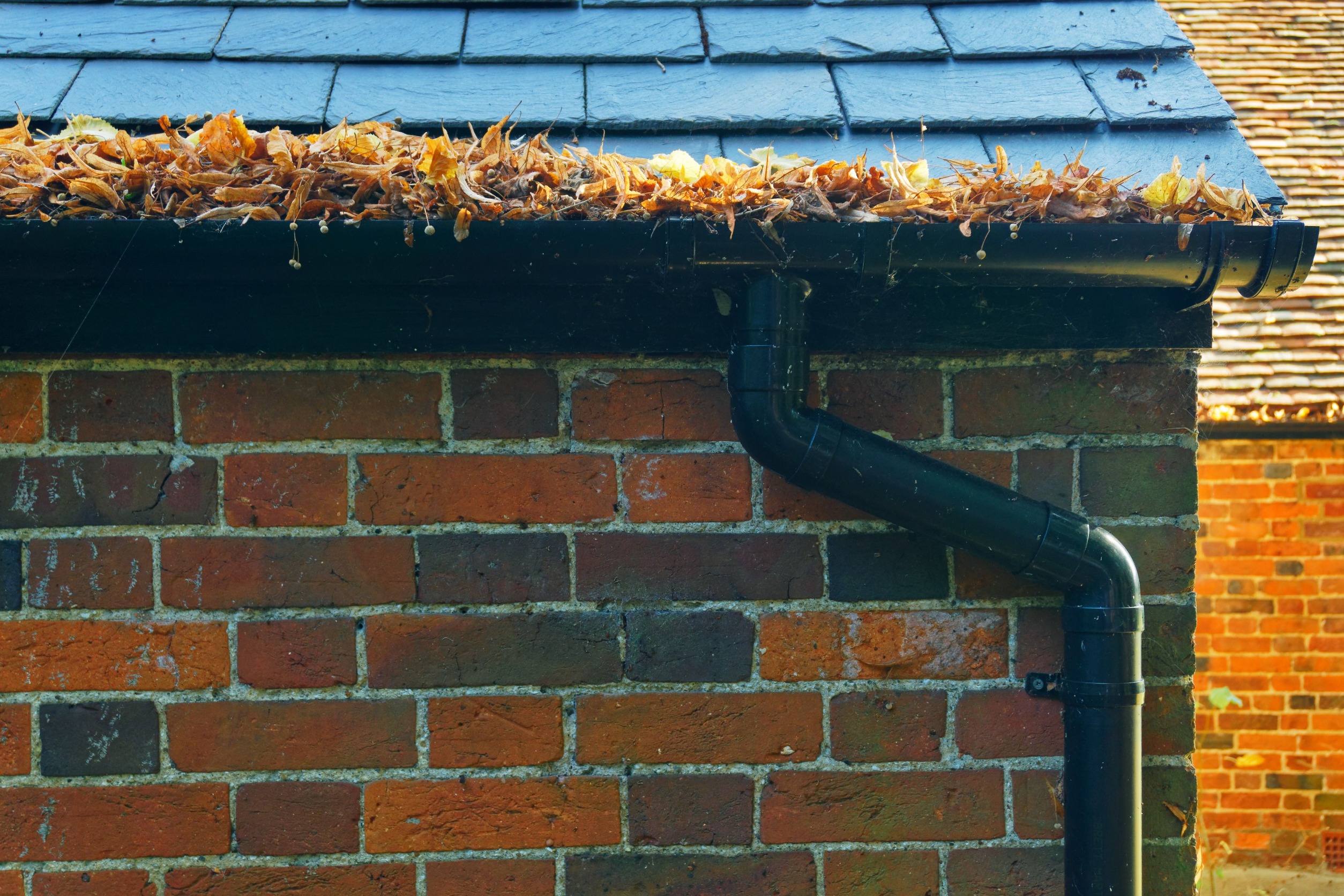 Read more about the article What Makes Gutters Clog?