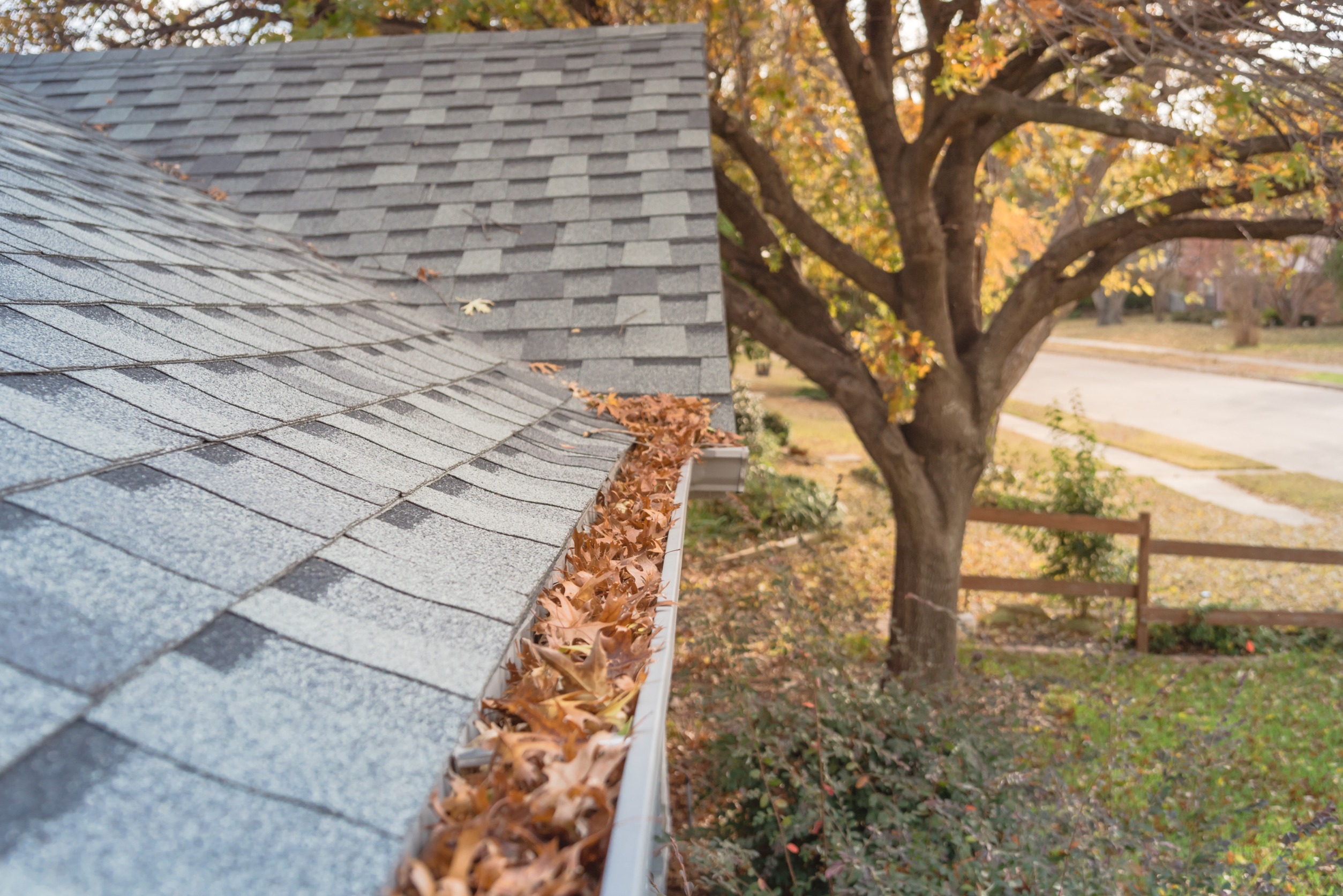 How Dirt Gets Into Your Gutters