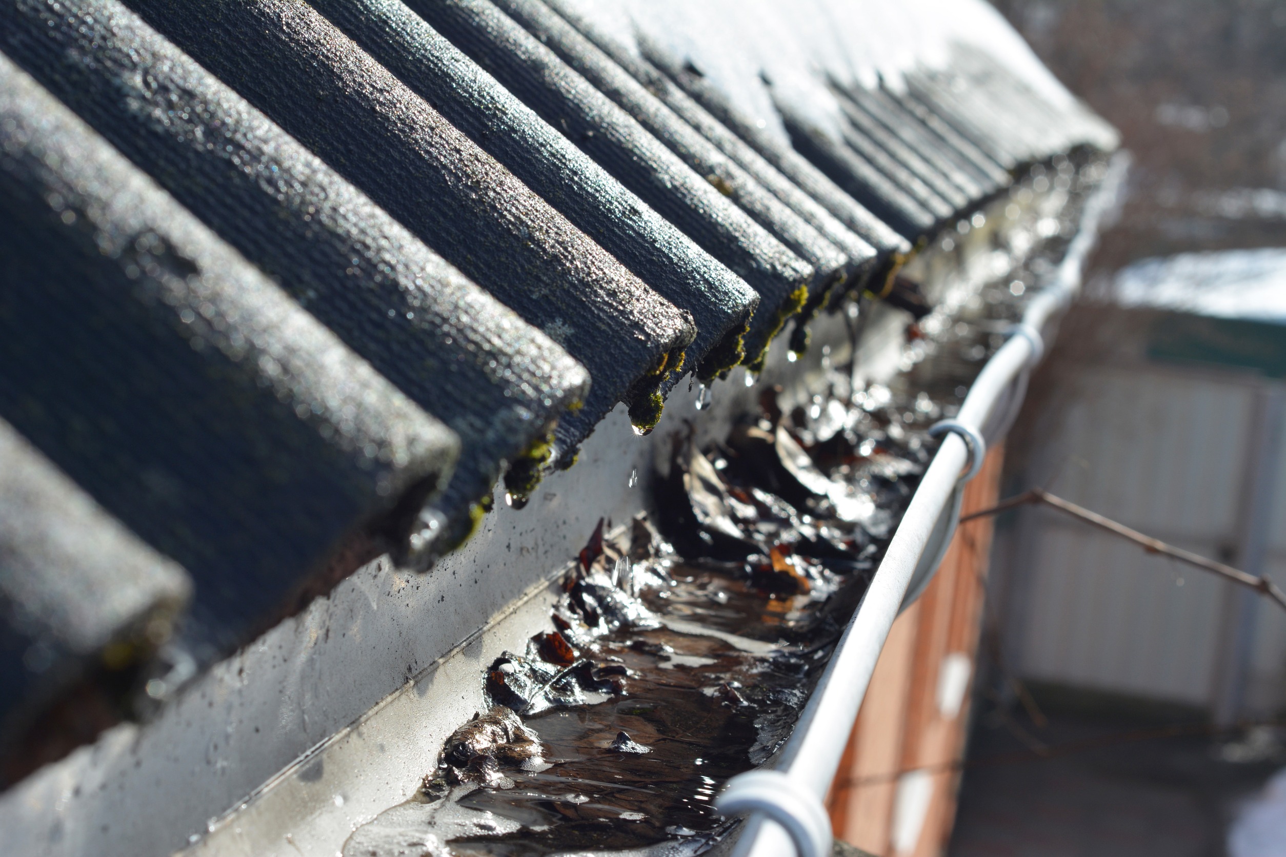 Damages Caused by Clogged Gutters