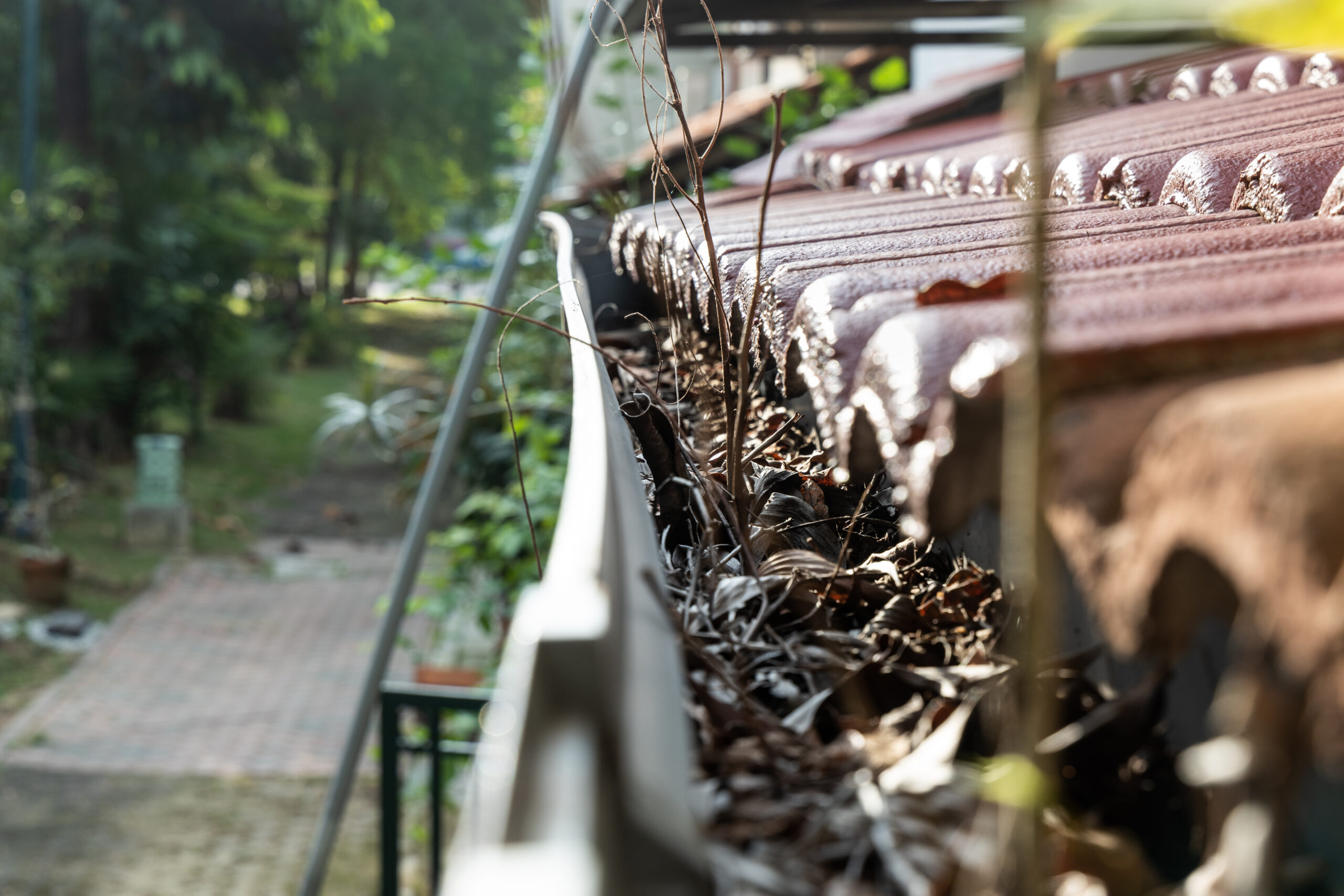 Uncovering the Hidden Dangers of Dirty Roofs & Gutters